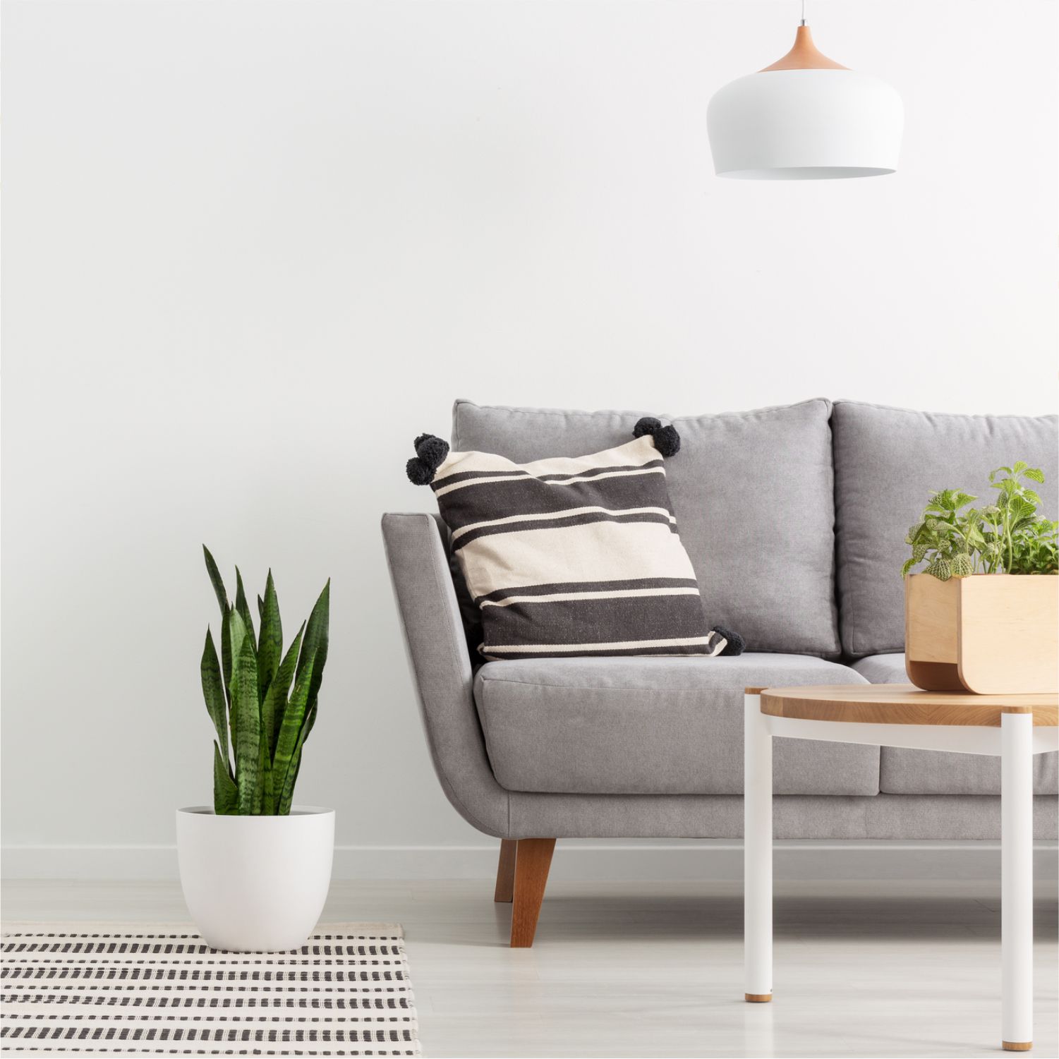 2022 decorating trends - vintage furniture, simplistic