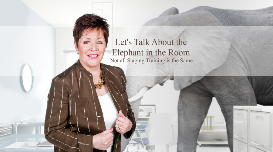 elephant in staging course room