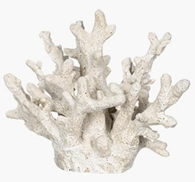 coral decor