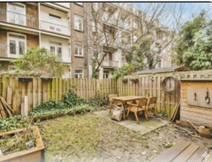 messy back yard before