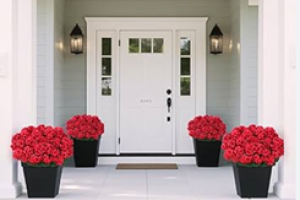 red geraniums on front porch