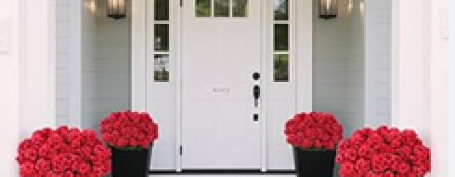 red geraniums on front porch
