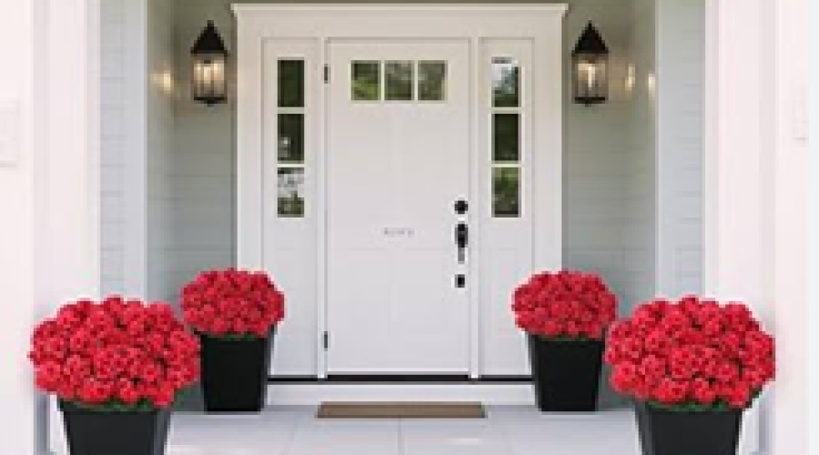red geraniums on front porch